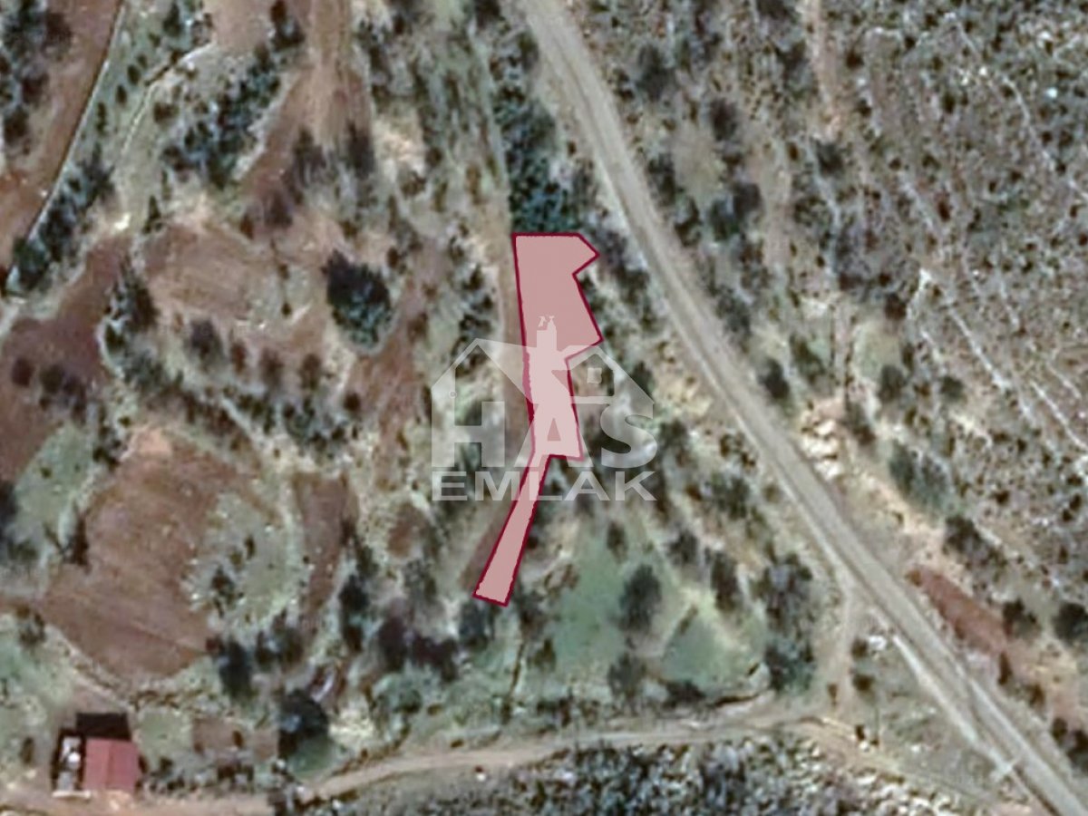 Villa in Coral Gables