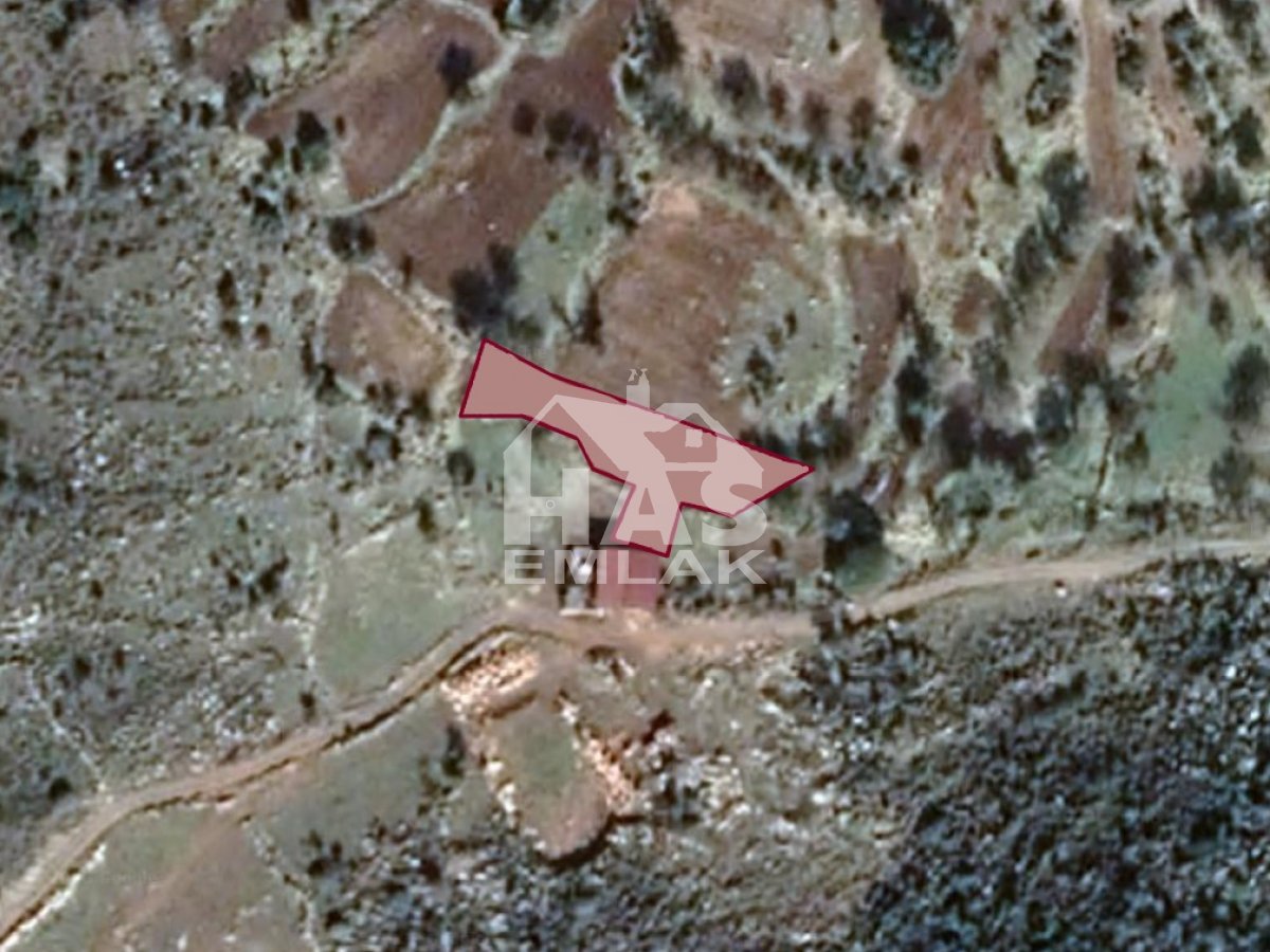 Villa in Coral Gables