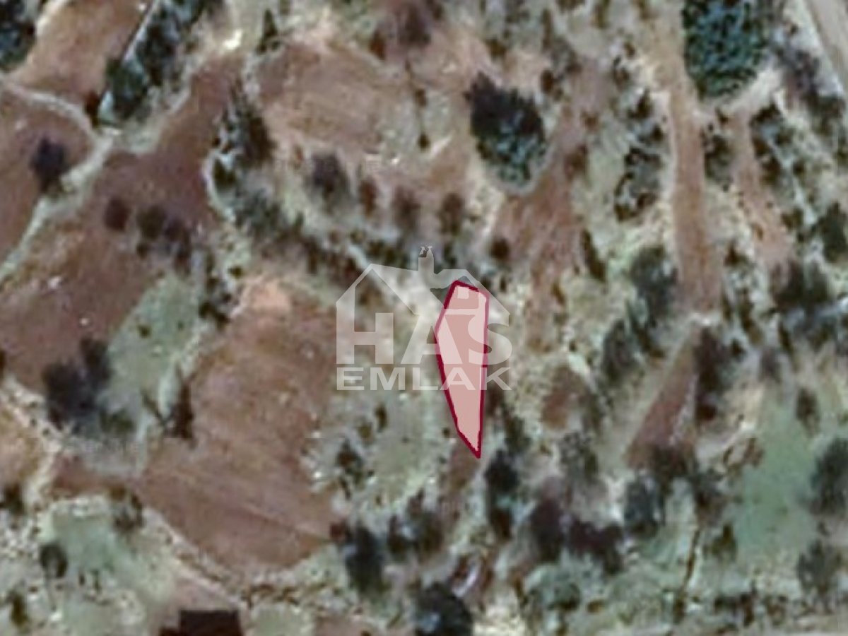 Villa in Coral Gables