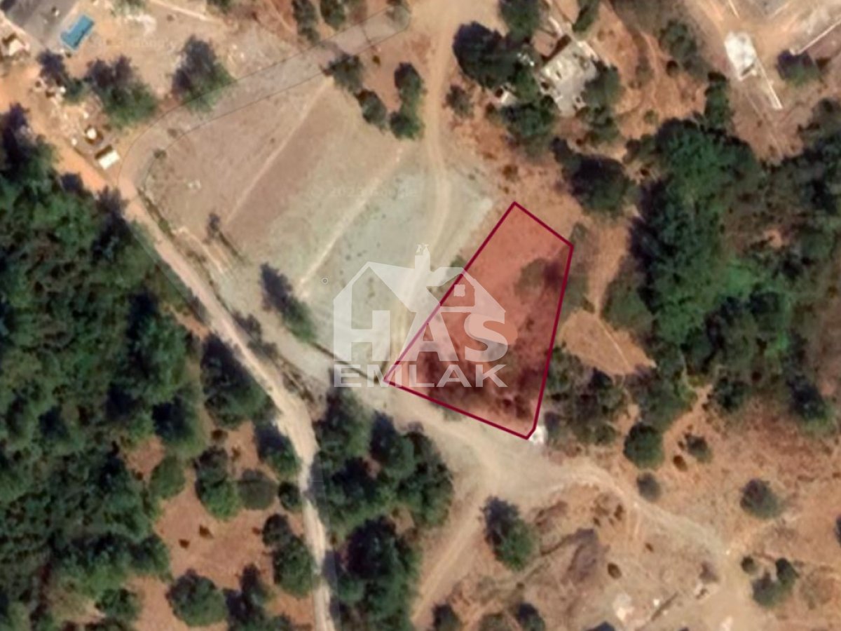 Villa in Coral Gables